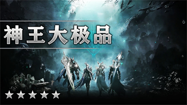 神王大极品